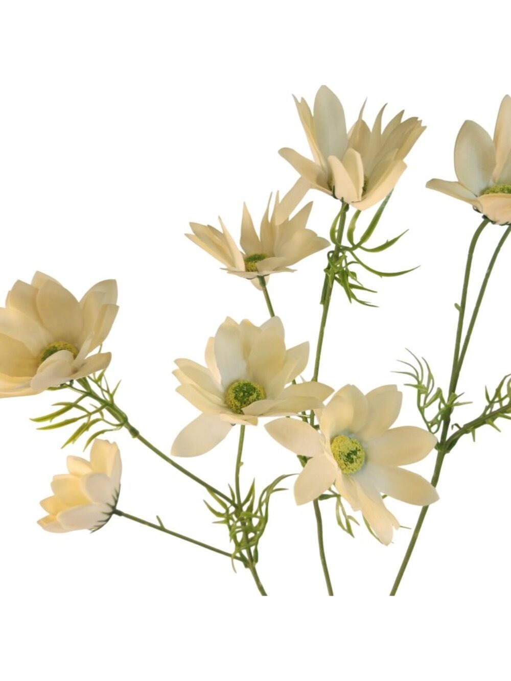 African Daisy Stems Cream Beige Set of 3 25 Inch Real Touch